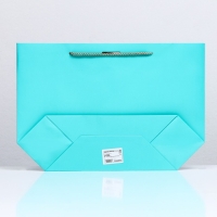 Пакет подарочный с лентой 26 х 25 х 11 см "Бирюзовый"