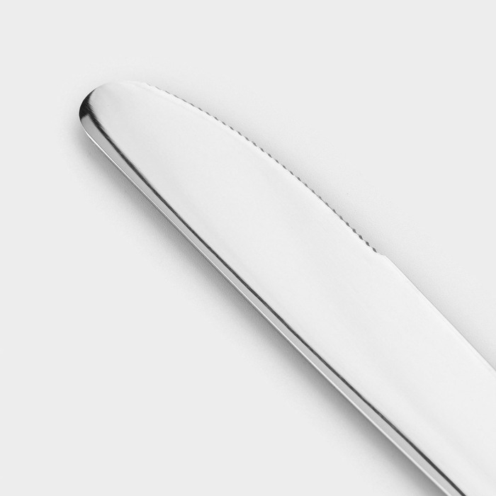 Набор столовый «Аппетит», 24 предмета, толщина 2 мм, картонная коробка, цвет серебряный Набор столовый «Аппетит», 24 предмета, толщина 2 мм, картонная коробка, цвет серебряный