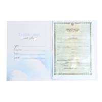 Папка для свидетельства о рождении &laquo;Маленькое счастье&raquo;, 23,5 х 31,5 см.