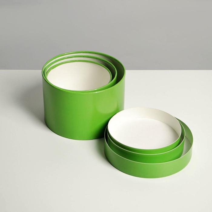 Набор шляпных коробок 3 в 1 салатовый, упаковка подарочная, 16 х 10, 14 х 9, 13 х 8,5 см