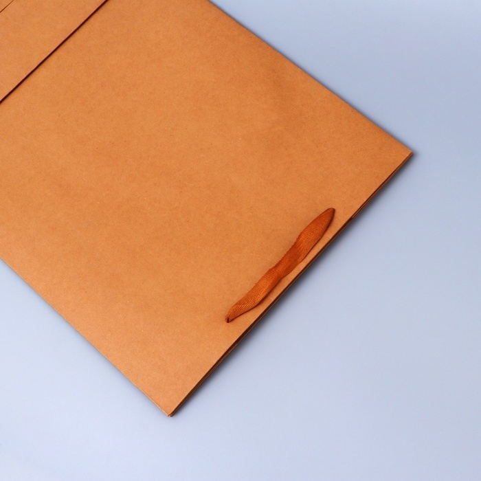 Пакет крафт без печати, 38 х 60 х 20 см 210 гр