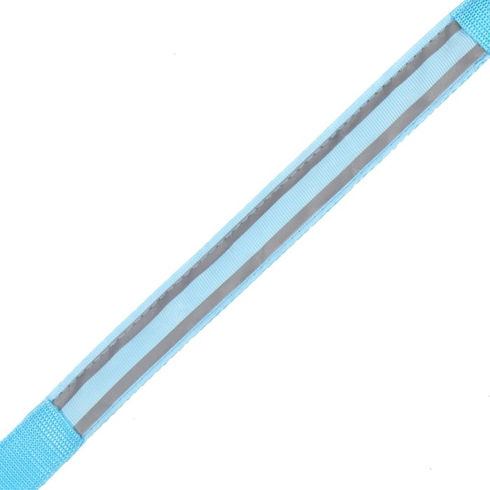 Ошейник с подсветкой Двойная полоса размер L, ОШ 45-52 х 2,5 см 3 режима свечения голубой Ошейник с подсветкой Двойная полоса размер L, ОШ 45-52 х 2,5 см 3 режима свечения голубой