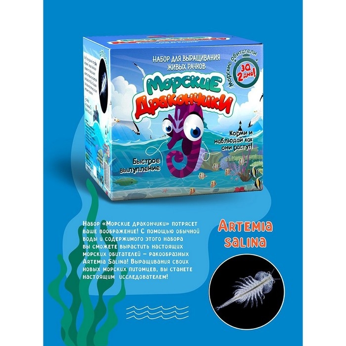 Набор химических опытов и экспериментов «Морские дракончики» Набор химических опытов и экспериментов «Морские дракончики»