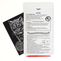 Гравюра &laquo;Кошечка&raquo; с металлическим эффектом &laquo;серебро&raquo; А5