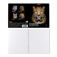 Тетрадь 48 листов в клетку, ErichKrause Strong and Brave, обложка мелованный картон, матовая ламинация, блок офсет 100% белизна, МИКС (1 вид в спайке) Тетрадь 48 листов в клетку, ErichKrause Strong and Brave, обложка мелованный картон, матовая ламинация, блок офсет 100% белизна, МИКС (1 вид в спайке)