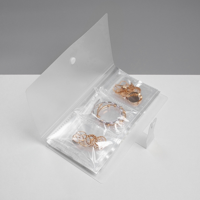 Органайзер для украшений &laquo;Книжка&raquo; 84 места , 25,5&times;21,5, цвет прозрачный