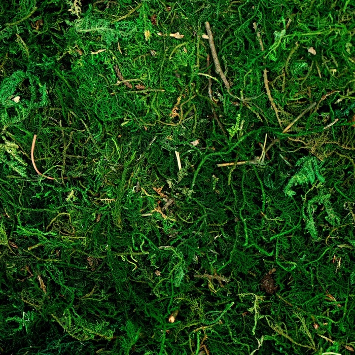 Мох для декора, 80 г, размер: 3 &times; 20 &times; 15 см