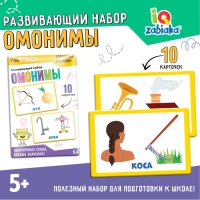Развивающий набор &laquo;Омонимы&raquo;
