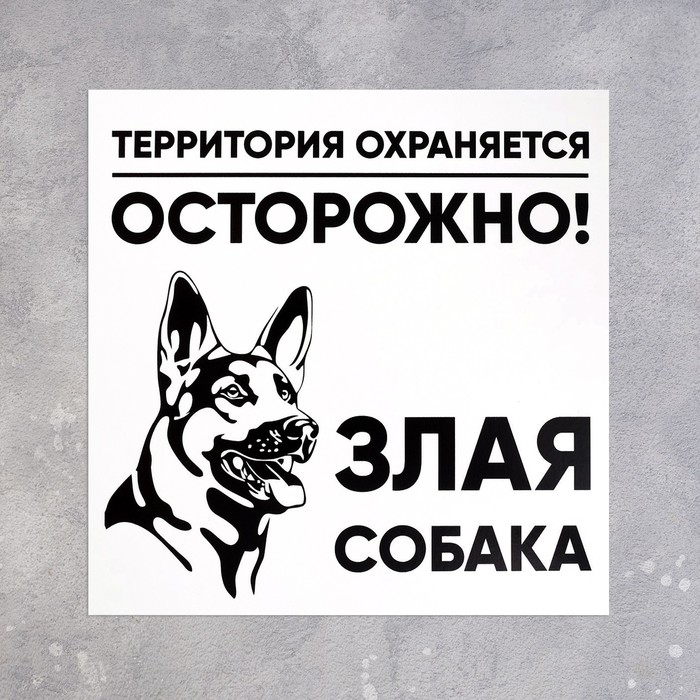 Табличка &laquo;ЗЛАЯ СОБАКА&raquo; 100&times;100, клейкая основа