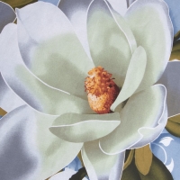 Простыня Этель &laquo;Кувшинки&raquo;150х220 см