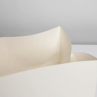 Пакет&mdash;коробка, подарочная упаковка, &laquo;Белый&raquo;, 28 х 20 х 13 см