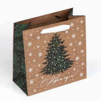 Пакет подарочный новогодний крафтовый квадратный &laquo;Новогодняя красавица&raquo;, 22 х 22 х 11 см, Новый год