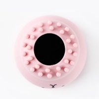 Щёточка  для умывания &laquo;Новогодняя коллекция: Будь красоткой&raquo;, 5,5 х 5,5 см