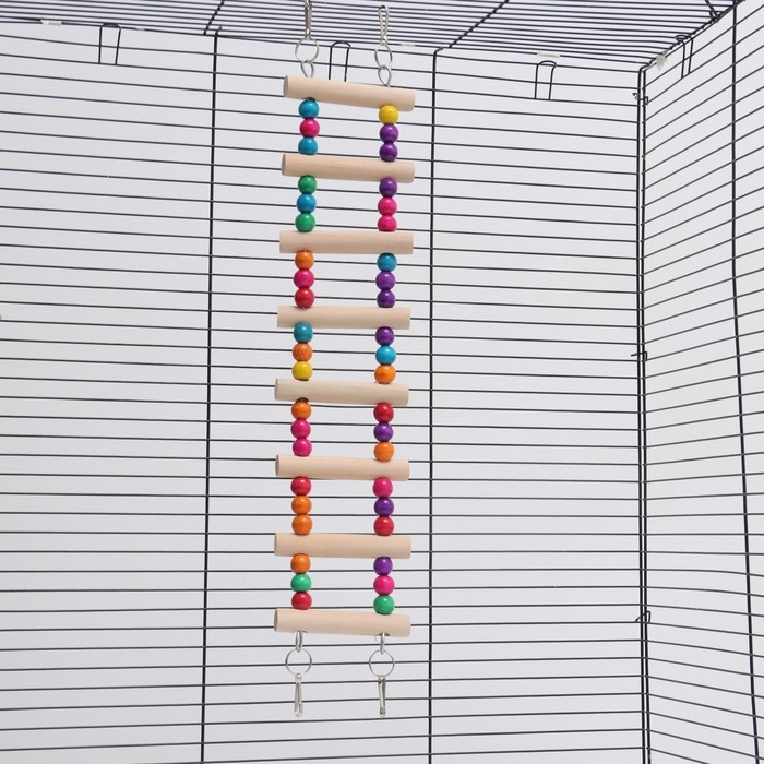 Игрушка для птиц Игрушка для птиц "Лесенка с бусинами", 43 см, микс цветов