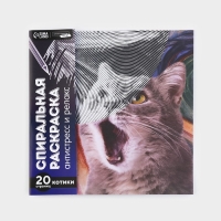 Спиральная раскраска-антистресс «Мир котиков» Спиральная раскраска-антистресс «Мир котиков»