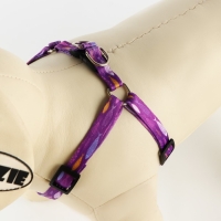 Комплект &laquo;Рыбки&raquo;, шлейка 24-36 см, поводок 120х1 см