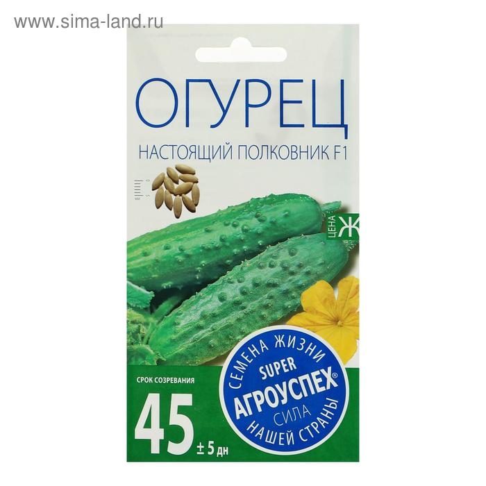 Семена Огурец Настоящий полковник F1, ранний, партенокарпический, 8 шт Семена Огурец Настоящий полковник F1, ранний, партенокарпический, 8 шт
