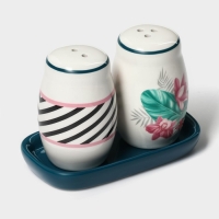 Набор для специй Доляна &laquo;Тропики&raquo;, 2 предмета: солонка, перечница, 130 мл