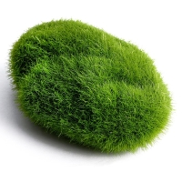 Основа для творчества «Камень со мхом» набор 2 шт., размер 1 шт. — 7 × 2 × 4,5 см Основа для творчества «Камень со мхом» набор 2 шт., размер 1 шт. — 7 × 2 × 4,5 см