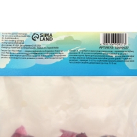 Гиацинт Сплендид Корнелия, р-р 14/15, 3шт, Осень 2024 Гиацинт Сплендид Корнелия, р-р 14/15, 3шт, Осень 2024