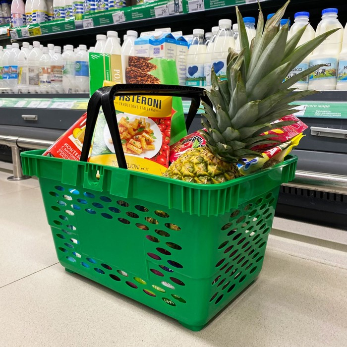 Корзина покупательская пластиковая, 20 л, 2 пластиковые ручки, цвет зелёный