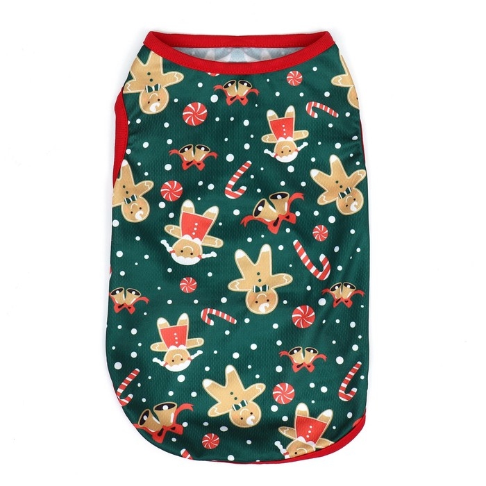 Толстовка Толстовка "Пряня", размер XS (ДС 20, ОШ 20, ОГ 30 см), зелёная