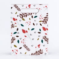 Подарочная коробка-пакет, упаковка с вырубной ручкой, "Весенняя композиция" , 19 х 9 х 27 см Подарочная коробка-пакет, упаковка с вырубной ручкой, "Весенняя композиция" , 19 х 9 х 27 см