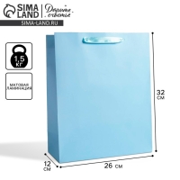 Пакет подарочный, упаковка, &laquo;Голубой&raquo;, 26 х 32 х 12 см