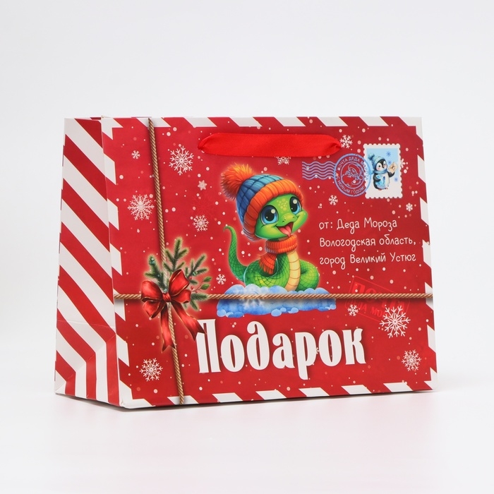 Новый год. Пакет ламинированный &laquo;Змейка&raquo;, MS 23 &times; 18 &times; 10 см.