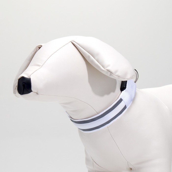 Ошейник с подсветкой Двойная полоса размер S, ОШ 35-43 х 2,5 см, 3 режима свечения белый Ошейник с подсветкой Двойная полоса размер S, ОШ 35-43 х 2,5 см, 3 режима свечения белый