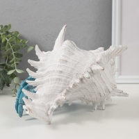 Сувенир полистоун "Коралловый риф. Краб в ракушке" 23,5х23,5х17,8 см Сувенир полистоун "Коралловый риф. Краб в ракушке" 23,5х23,5х17,8 см