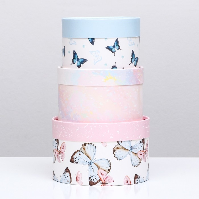 Набор шляпных коробок 3 в 1,"Ассорти",16 х 10,14 х 9,13 х 8,5 см