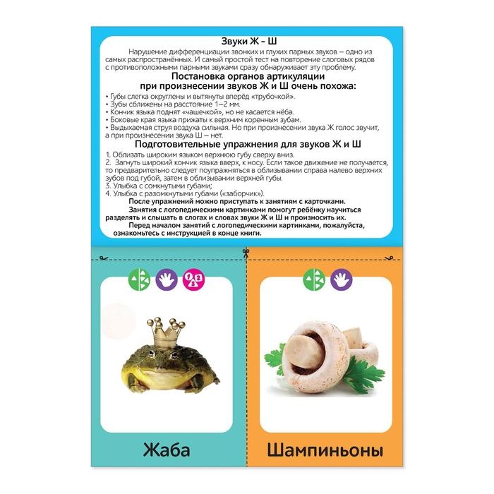 Набор обучающих книг &laquo;Логопедические картинки&raquo;, 4 шт. по 24 стр.