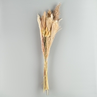 Букет из сухоцветов &laquo;Изящность&raquo;, высота 47 см