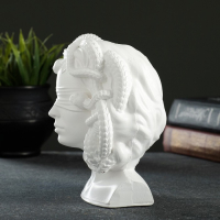 Кашпо - органайзер "Горгона Медуза" белая, 12,5х16х10,5см Кашпо - органайзер "Горгона Медуза" белая, 12,5х16х10,5см