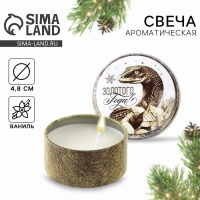 Свеча новогодняя в железной банке «Новый год: Золотая«Новый год: аромат ваниль, 4.8 см Свеча новогодняя в железной банке «Новый год: Золотая«Новый год: аромат ваниль, 4.8 см