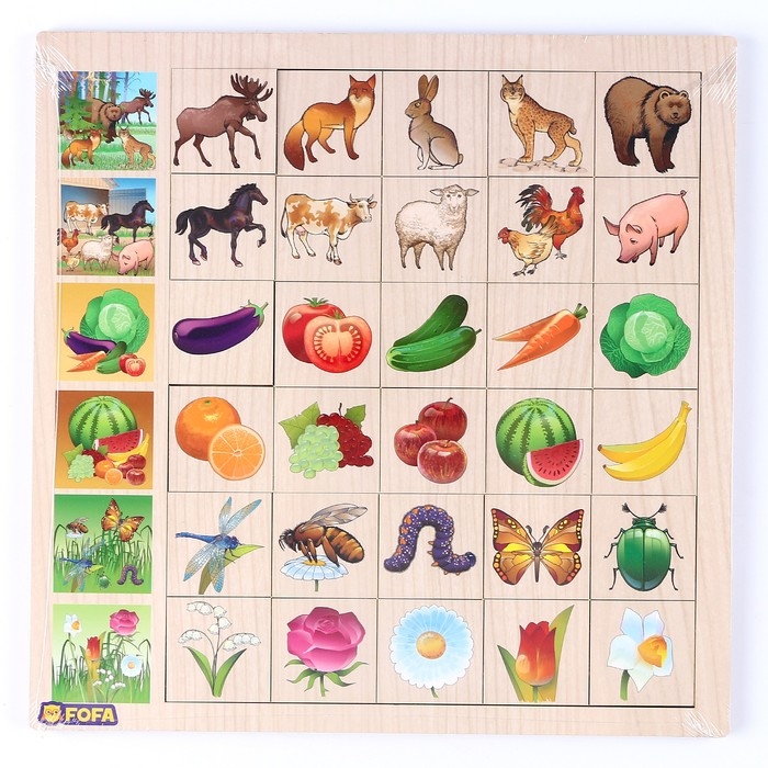 Ассоциация «Флора и фауна» Ассоциация «Флора и фауна»