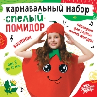 Карнавальный набор &laquo;Спелый помидор&raquo;, фетр