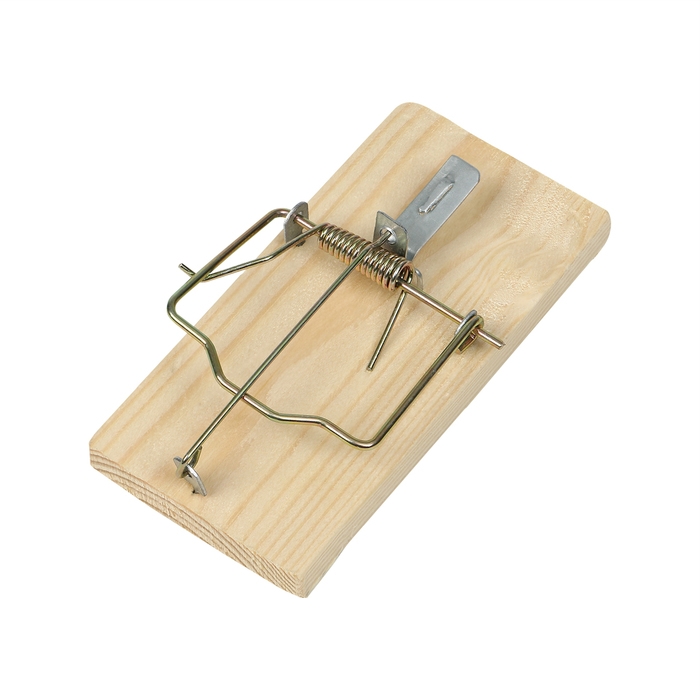 Крысоловка, 6 × 12 см, деревянная, Greengo Крысоловка, 6 × 12 см, деревянная, Greengo