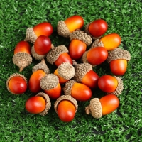 Декор "Желуди" 3х2см, в наборе 50шт Декор "Желуди" 3х2см, в наборе 50шт