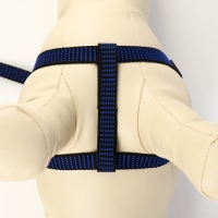 Комплект амуниции рельефный, поводок 120 х 1,5 см, ОГ 36-49 см, сине-чёрный Комплект амуниции рельефный, поводок 120 х 1,5 см, ОГ 36-49 см, сине-чёрный