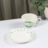 Чайная пара фарфоровая Доляна «Эвкалипт», 2 предмета: чашка 280 мл, блюдце d=15 см Чайная пара фарфоровая Доляна «Эвкалипт», 2 предмета: чашка 280 мл, блюдце d=15 см