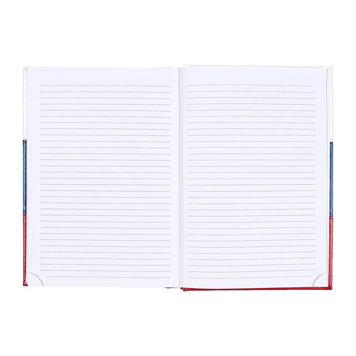 Ежедневник датированный 2025 года, deVENTE. Flag, A5 168 листов, твердая обложка кожзам с поролоном, тиснение фольгой, перфорация, ляссе, блок 70 г/м2