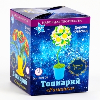Набор для создания топиария малого &laquo;Ромашки&raquo;