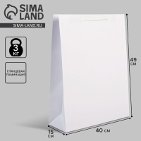 Пакет подарочный ламинированный, упаковка, «Белый», 40 х 49 х 15 см Пакет подарочный ламинированный, упаковка, «Белый», 40 х 49 х 15 см