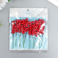 Декор для творчества "Веточка с ягодами" красный набор 10 шт 1х1х9 см Декор для творчества "Веточка с ягодами" красный набор 10 шт 1х1х9 см