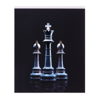 Комплект тетрадей из 4 штук, 96 листов в клетку Calligrata "Шахматы", обложка мелованный картон, матовая ламинация + выборочный УФ-лак, блок офсет Комплект тетрадей из 4 штук, 96 листов в клетку Calligrata "Шахматы", обложка мелованный картон, матовая ламинация + выборочный УФ-лак, блок офсет