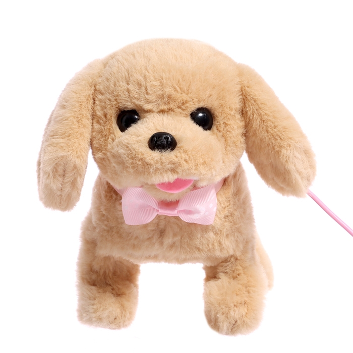 Интерактивная игрушка «Мой дружок», звук, ходит, управление с пульта, МИКС Интерактивная игрушка «Мой дружок», звук, ходит, управление с пульта, МИКС