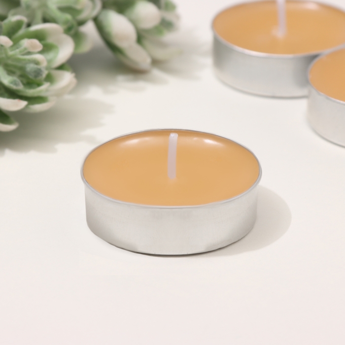 Набор чайных свечей ароматизированных Набор чайных свечей ароматизированных "Пряное яблоко" в подарочной коробке, 6 шт