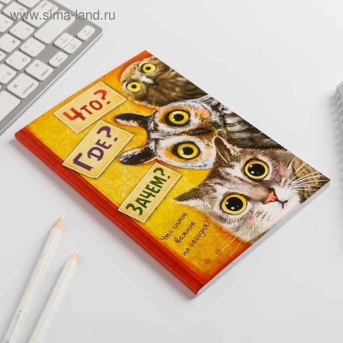 Ежедневник "Что? Где? Зачем?", А5, 80 листов